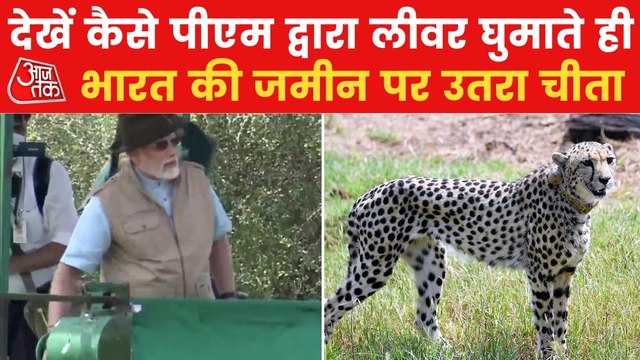 The moment when cheetahs stepped on Indian soil after years