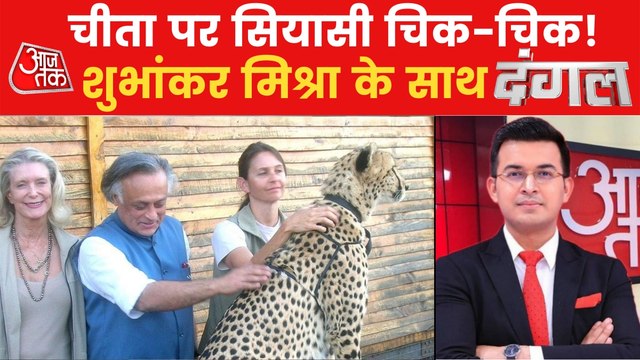 Dangal: Politics run faster as the Cheetah returns to India