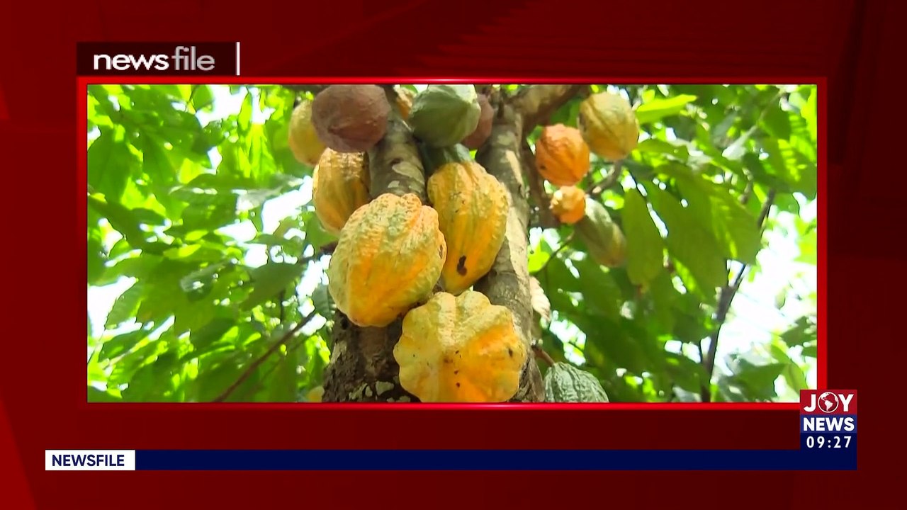 Watch the full content of Newsfile with Samson Lardy Anyenini on JoyNews (17-9-22)