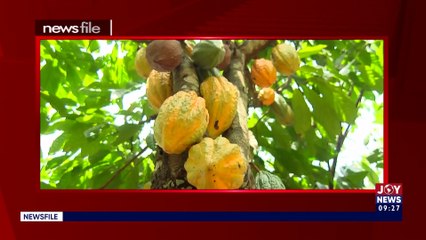 Watch the full content of Newsfile with Samson Lardy Anyenini on JoyNews (17-9-22)