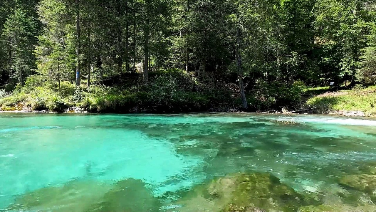 Relaxing Piano Music With Forest Water Sounds For Sleeping, Water Sounds, Relaxing Music