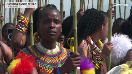 بدون تعليق: قبيلة الزولو في جنوب إفريقيا تحتفل بعذرية الشابات في مهرجان رقص القصب السنوي