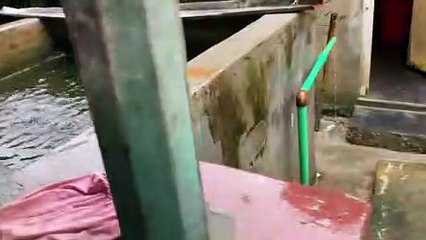 Fish Tank outline setup