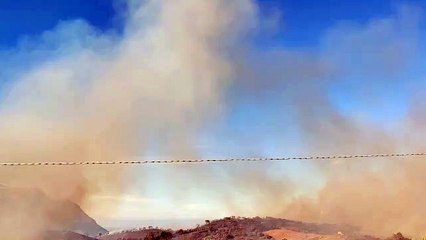 Calatafimi, incendio brucia la sughereta del bosco di Angimbè: canadair ed elicotteri in azione