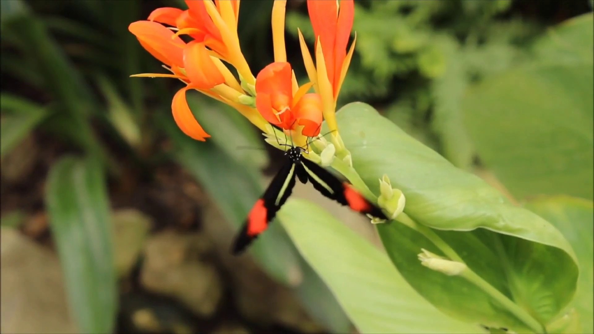 10 MINUTE MEDITATION MUSIC RELAXING MUSIC SLEEPING MUSIC CHILL MUSIC