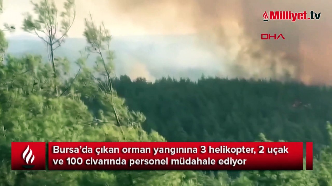 Bursa'da orman yangını!