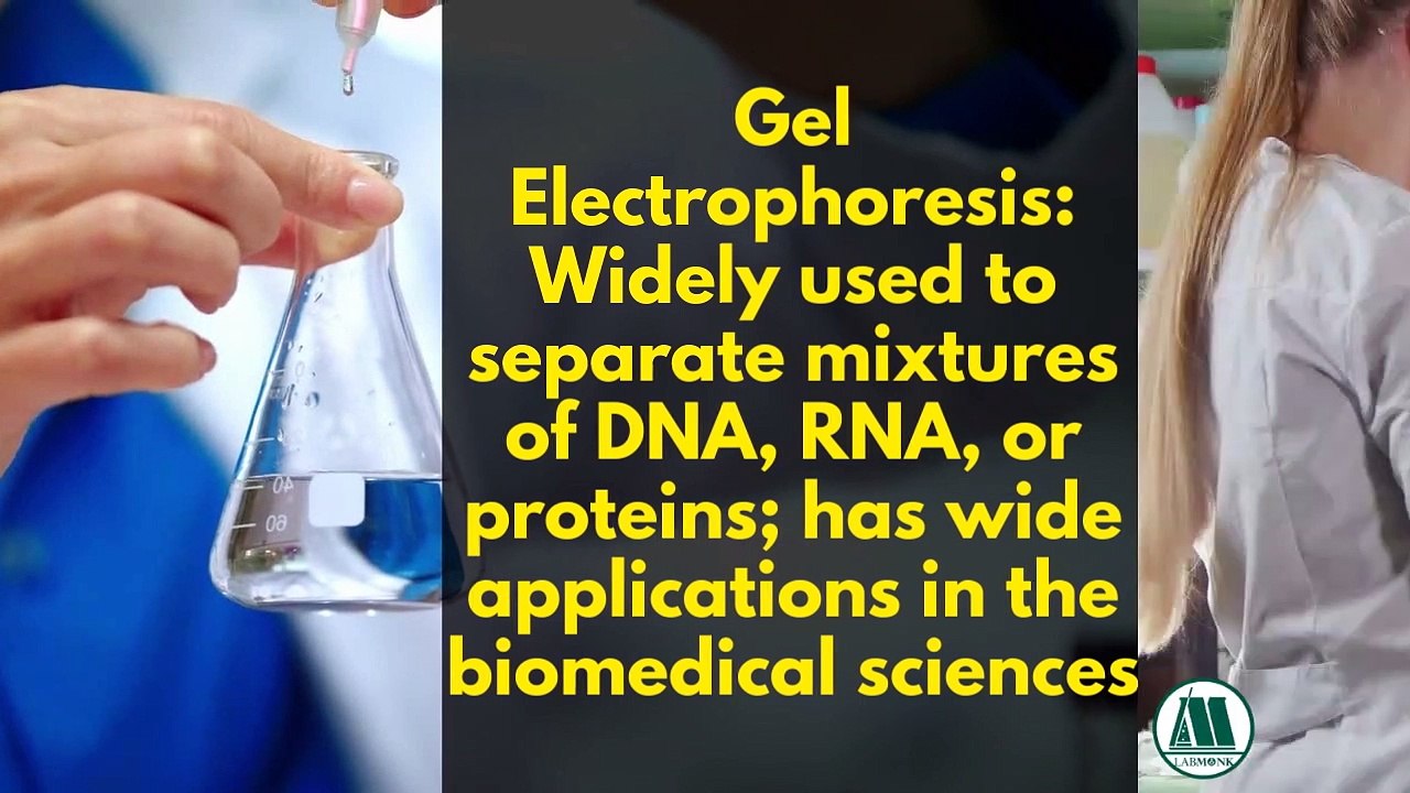 Basic Biotechnology Techniques for Researchers I Labmonk