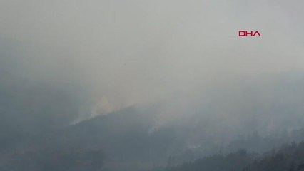 Son dakika haber: BALIKESİR'DE ORMAN YANGININA MÜDAHALE DEVAM EDİYOR