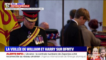 Les huit petits-enfants de la reine, dont William et Harry, se recueillent avec émotion à Westminster Hall