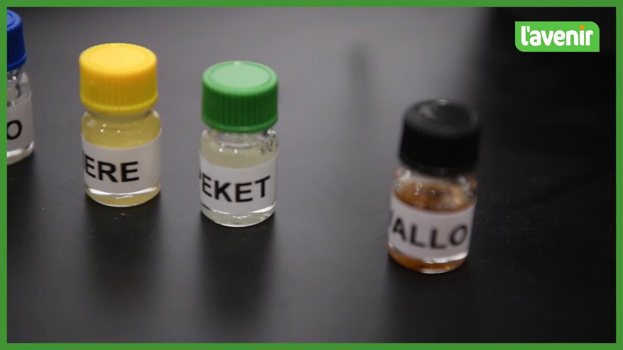 Les fêtes de Wallonie en quatre parfums