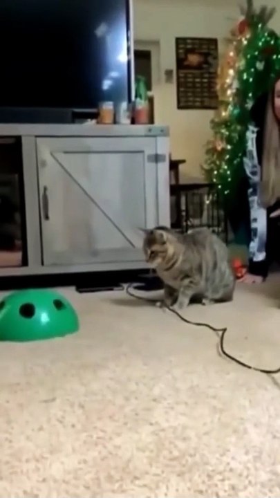 Funny video