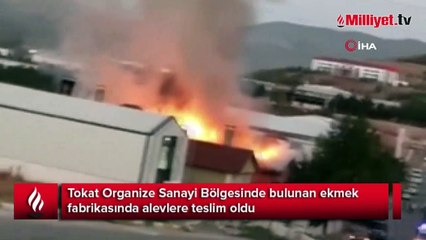 Tokat'ta ekmek fabrikasında yangın