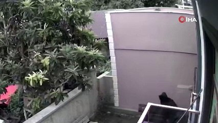 Kur'an Kursunu soymaya kalkan hırsızın işleri yolunda gitmedi!