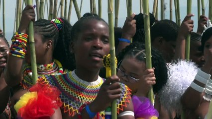 Afrique du sud : les milles vierges du Roi Zoulou