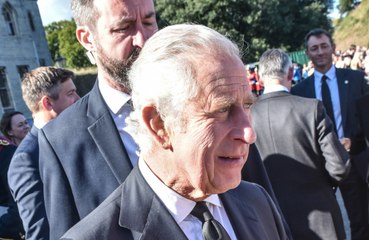 King Charles III handed pen 'just in case' by well-wisher after struggling with leaky pen days before