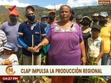CLAP impulsa la producción de diferentes rubros en el municipio Campo Elías del estado Mérida