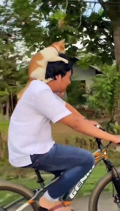 Awesome  #cats #cat #catstagram #kedi #kediler #catlover #catofinstagram #catlovers #catphoto #kitty #kitten #kittens #catoftheday #catloversclub #kishka #animals #katze #neko #catmemes #dogs #catlove #kittymom #kittenmom #puppy #pets #bunny #cute