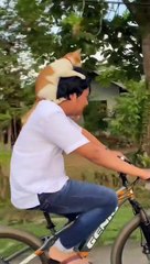 Awesome  #cats #cat #catstagram #kedi #kediler #catlover #catofinstagram #catlovers #catphoto #kitty #kitten #kittens #catoftheday #catloversclub #kishka #animals #katze #neko #catmemes #dogs #catlove #kittymom #kittenmom #puppy #pets #bunny #cute