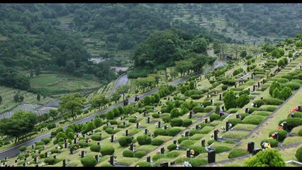 Trailer | BIFF2022 꽃들도 Flowers | 와이드 앵글 - 한국 단편 경쟁