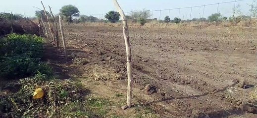 तारबंदी के अधूरे आवेदनों ने बढ़ाई मशक्कत, अब तक आए 6 सौ आवेदन