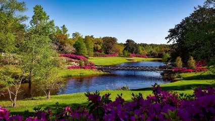 Must Watch !! Its will change your Life - Motivation Success Quotes