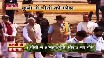 Cheetah in Madhya Pradesh : Namibia ने भारत को दिया Cheetah, PM Modi ने कहा शुक्रिया