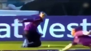 Top most best cricket catch history in HD