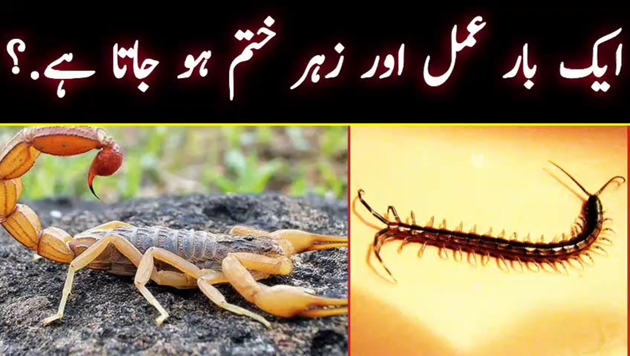 Know how to remove the poison.