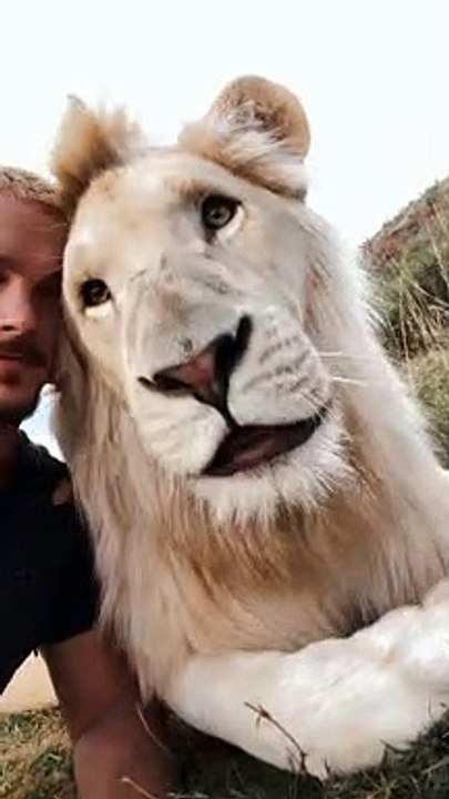 WOULD YOU ROAR WITH A LION