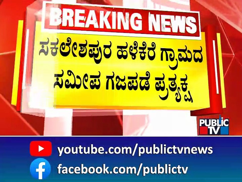 40 Wild Elephants Spotted Near Halekere Village In Sakleshpur | Public TV