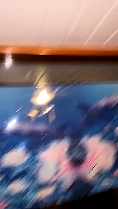 Spooky Spider Attack
