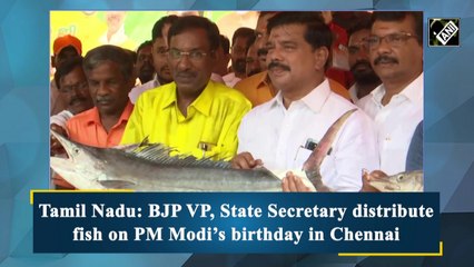 Tamil Nadu: BJP VP, state secretary distribute fish on PM Modi’s birthday in Chennai