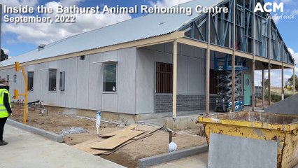 Sneak peek of the Bathurst Animal Rehoming Centre | September 14, 2022 | Western Advocate