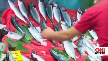 Tezgahlarda palamut bolluğu