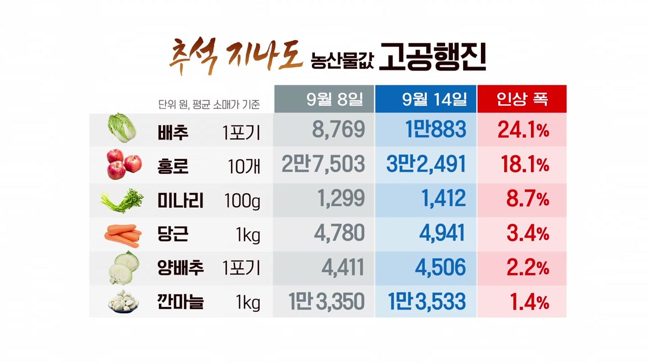 김치·라면 '줄줄이 인상'...정부 "물가 10월 정점" / YTN