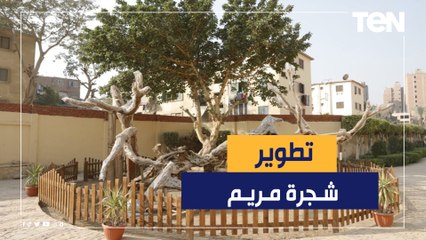 شجرة مريم تتحول لمزار سياحي عالمي.. اهتمام كبير بمسار العائلة المقدسة في مصر