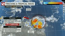 Tropical wave could pose a threat to the Gulf Coast next week