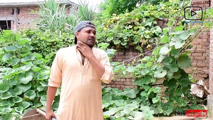 कब्जा ।। हरियाणा वाले कश्मीर से POK ।।  धारा 370 & 35A ।। हरियाणवी कॉमेडी