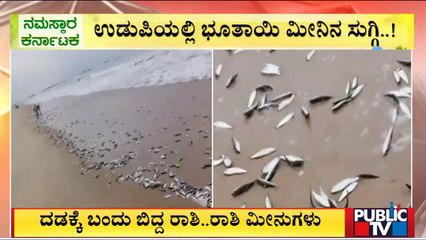 ಮಲ್ಪೆ ಕಡಲ ತೀರದಲ್ಲಿ ಮೀನುಗಳ ಸುಗ್ಗಿ..! | Malpe | Udupi | Public TV