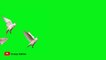 GREEN SCREEN Dove birds Flying effects HD No copyright  _ chroma key dove pigeon