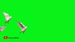 GREEN SCREEN Dove birds Flying effects HD No copyright  _ chroma key dove pigeon