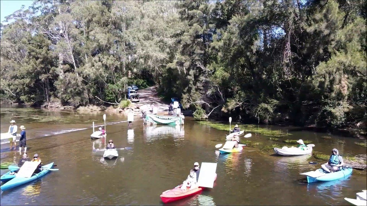 Friends of the Forest Protest | BAY POST | SEPTEMBER 21, 2022