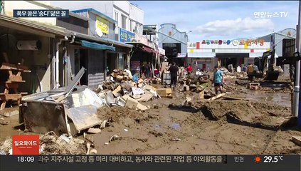 일본 향해도 피해 우려…18년 전 태풍 '송다' 닮은꼴