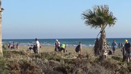 Deniz kaplumbağalarının yuva yaptığı kumsal temizlendi