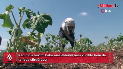 Kadın diş hekimi baba mesleklerini hem klinikte hem de tarlada sürdürüyor