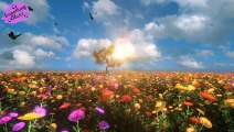 Peaceful music with nature sounds of rose and rain for relaxation and sleep, meditation and yoga music.