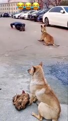 memes funny shorts #shorts #funny #memes