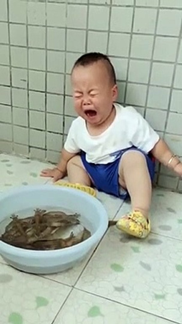 memes funny shorts #shorts #funny #memes