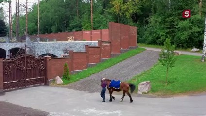 Крепкие орешки - 2 сезон / 3 серия