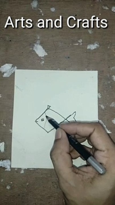 Easy drawing Fish&Bird